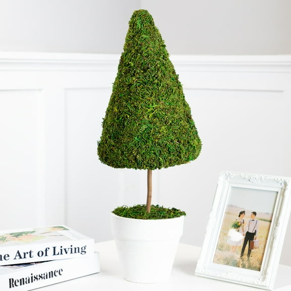 Northlight Reindeer Moss Artificial Potted Topiary Tree - 21"