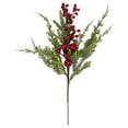 thumbnail image 1 of Northlight Iced Red Berries and Mini Apples Frosted Artificial Christmas Branch Spray - 20", 1 of 3