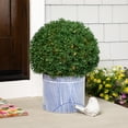 thumbnail image 1 of Northlight 20" Pre-Lit Artificial Boxwood Ball Topiary in Round Pot, Clear Lights, 1 of 8
