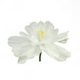 thumbnail image 1 of Northlight  22" White/Yellow Artificial Floral Spring Craft Stem, 1 of 6