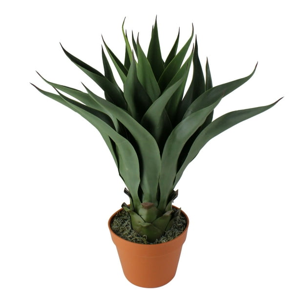 Northlight 23.5" Potted Green Agave Americana Artificial Succulent