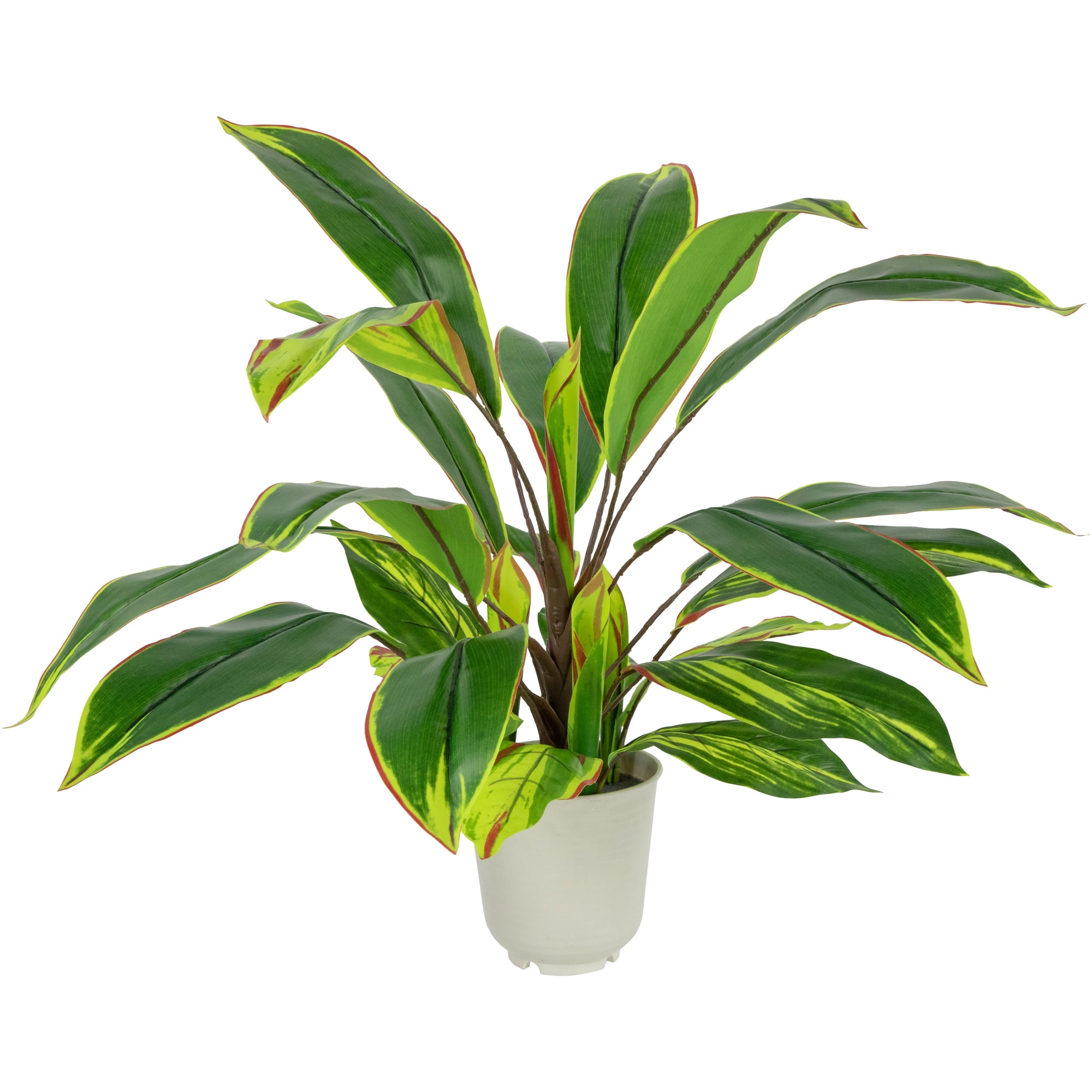 25" Green and Red Artificial Dracaena Plant in Off-White Plastic Pot