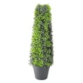 thumbnail image 1 of Northlight 25" Green and Black Potted Two-Tone Boxwood Cone Artificial Topiary Tree, 1 of 3