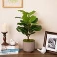 thumbnail image 1 of Northlight Two-Tone Fiddle Leaf Fig Artificial Potted Plant - 26" - Green, 1 of 8