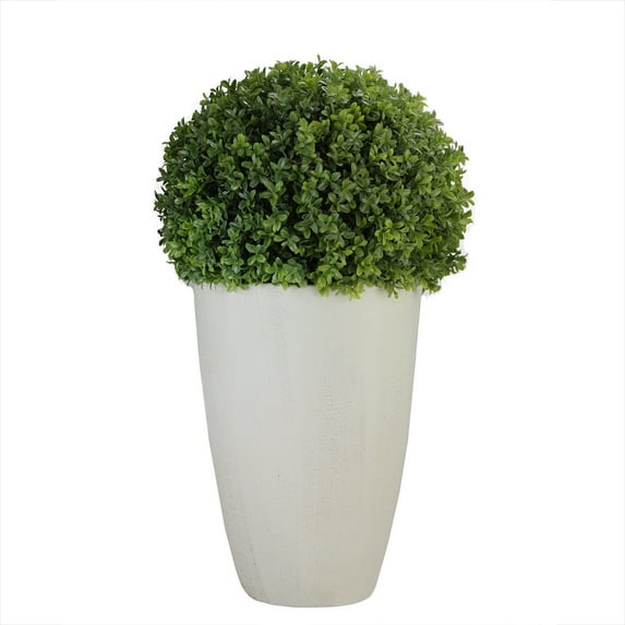 Northlight 27" Boxwood Artificial Plant Potted in Ceramic Pot - Green/White