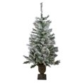 thumbnail image 1 of Northlight 3.5' Prelit Artificial Christmas Tree Potted Flocked Pine - Clear Lights, 1 of 6