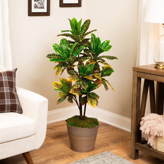 Northlight 3.8' Unlit Green and Black Potted Artificial Croton Tree