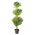 thumbnail image 1 of Northlight 3.85' Unlit Artificial Potted Two-Tone Murraya Triple Ball Topiary Tree, 1 of 3
