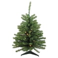 thumbnail image 1 of Northlight 3' Pre-Lit Green Medium Canadian Pine Artificial Christmas Tree - Clear LED Lights, 1 of 11