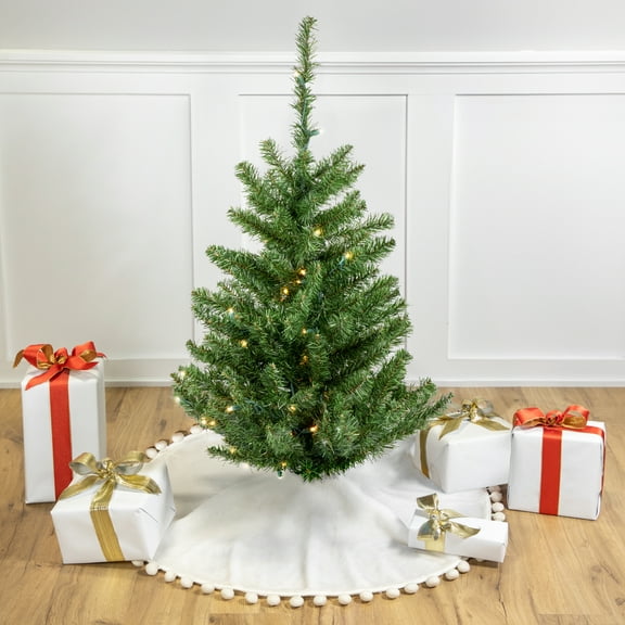 Northlight 3' Prelit Artificial Christmas Tree Canadian Pine - Clear LED Lights