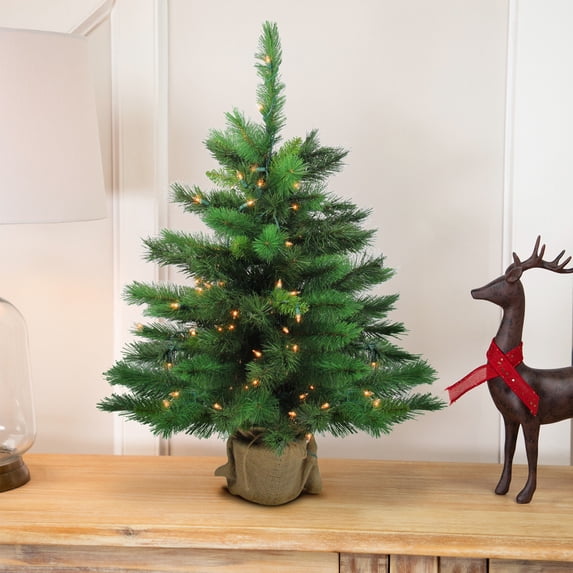 Northlight 3' Prelit Artificial Christmas Tree New Carolina Spruce - Clear Lights