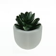 thumbnail image 1 of Northlight 3" Succulent Artificial Potted Plant Table Top Decoration - Green/White, 1 of 2