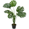 thumbnail image 1 of Northlight 35" Potted Green Wide Leaf Monster Artificial Floor Plant, 1 of 3