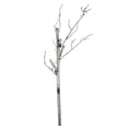 thumbnail image 1 of Northlight 38" White Artificial Crafting or Display Birch Tree Trunk, 1 of 2