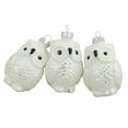 thumbnail image 1 of Northlight 3ct Silver and White Owl Matte Glass Christmas Ornaments 2.5", 1 of 3