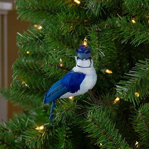 Northlight 4.5" Blue and White Jay Clip-On Christmas Ornament