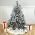 thumbnail image 1 of Northlight 4.5' Pre-Lit LED Black Spruce Artificial Christmas Tree - Clear Lights, 1 of 7
