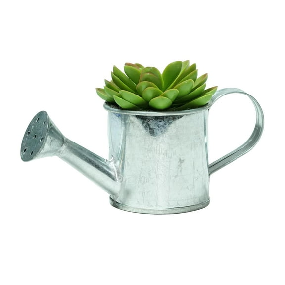 Northlight 4" Green Mini Faux Echeveria Succulent in Tin Watering Can