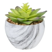 Northlight 4" Green and Purple Artificial Succulent in Faux Marble Pot