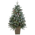 thumbnail image 1 of Northlight 4' Pre-Lit Frosted Mixed Berry Pine Artificial Christmas Tree in Pot - Clear Lights, 1 of 6