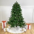 thumbnail image 1 of Northlight 4' Pre-Lit Sierra Noble Fir Artificial Christmas Tree, Clear Lights, 1 of 7