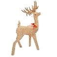 thumbnail image 1 of Northlight 48.5" Brown and White Pre-Lit Striped Reindeer Outdoor Christmas Decor, 1 of 2