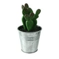 thumbnail image 1 of Northlight 5.25" Adorable Tropical Green and Red Mini Artificial Plant Cactus in Tin Pot, 1 of 1