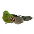 thumbnail image 1 of Northlight 5.75" Green and Gray Clip On Bird With Feathers Christmas Ornament, 1 of 3