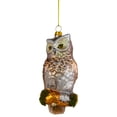 thumbnail image 1 of Northlight 5" Glittery Glass Perched Owl on a Branch Christmas Ornament - Gold/Silver, 1 of 5