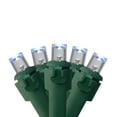 thumbnail image 1 of Northlight LED Wide Angle Christmas Lights - Pure White - 23.5' Green Wire - 50ct, 1 of 5