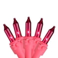 thumbnail image 1 of Northlight Mini Incandescant Christmas Light Set - Pink - 14' Pink Wire - 50ct, 1 of 3
