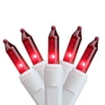 thumbnail image 1 of Northlight 50ct Mini String Lights Red - 10.2' White Wire, 1 of 1