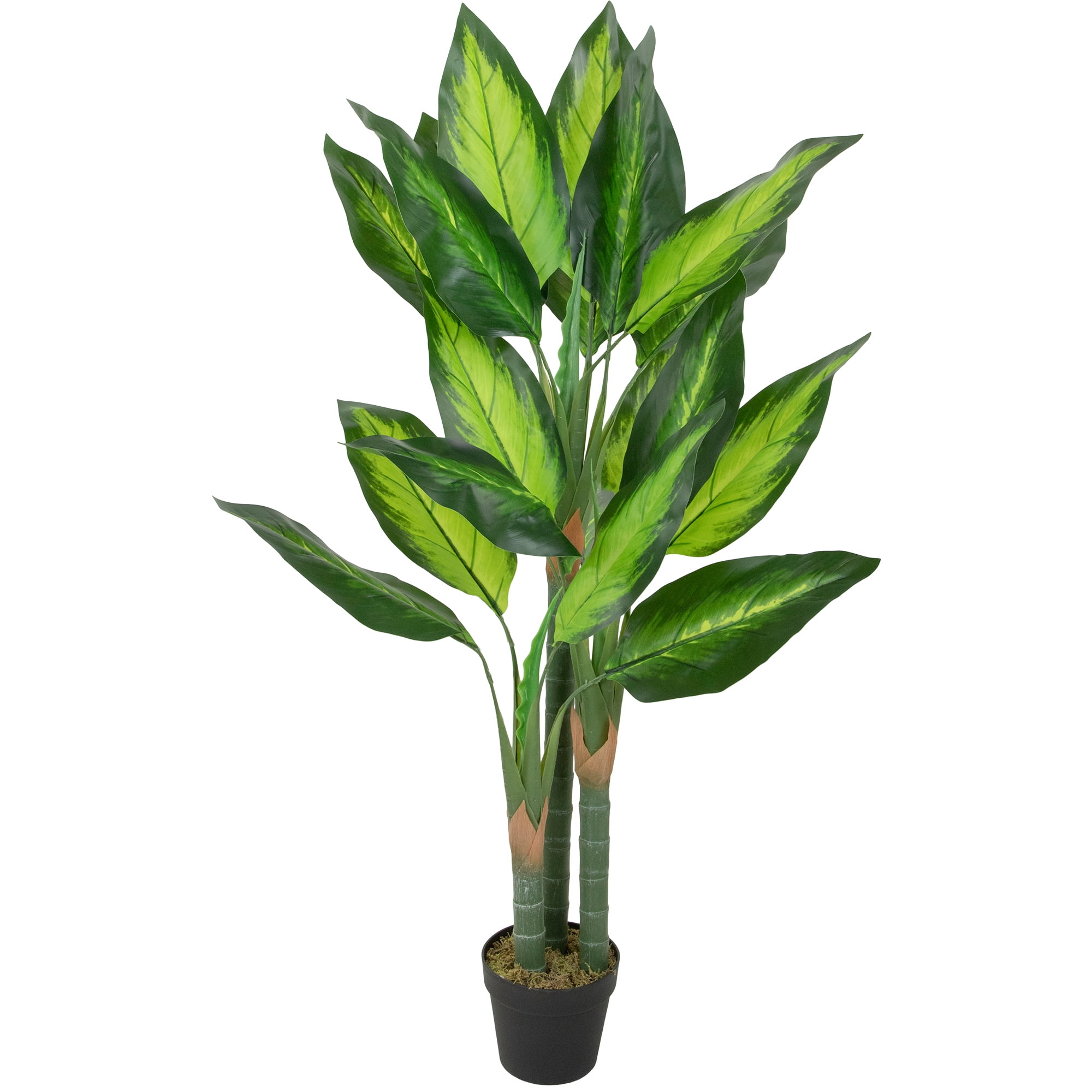 51" Green Plastic Dieffenbachia Potted Floor Plant