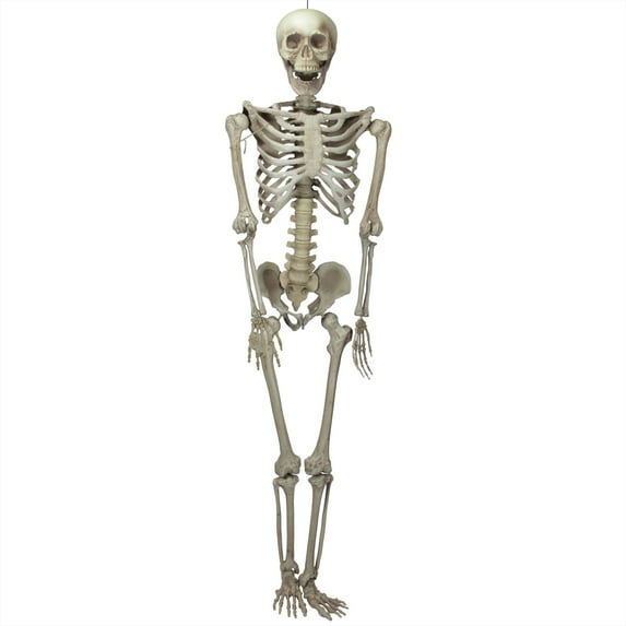 Northlight 6.5' Life-Size Jointed Skeleton Hanging Halloween Decoration - White/Gray