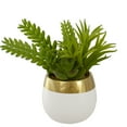 thumbnail image 1 of Northlight Mixed Artificial Succulent Arrangement in Ceramic Pot - 6.5", 1 of 5