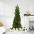 thumbnail image 1 of Northlight 6.5' Pre-Lit Canadian Pine Artificial Pencil Christmas Tree - Multi Lights, 1 of 7