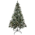 thumbnail image 1 of Northlight Clear Prelit Incandescent Green Frosted Sierra Fir Christmas Tree, 6.5', 1 of 5
