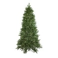 thumbnail image 1 of Northlight 6.5' Prelit Artificial Christmas Tree LED Instant Connect Neola Fraser Fir - Dual Lights, 1 of 7