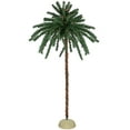 thumbnail image 1 of Northlight 6' Pre-Lit Artificial Tropical Outdoor Patio Palm Tree - Clear Lights, 1 of 6