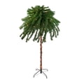 thumbnail image 1 of Northlight Pre-Lit Artificial Palm Tree - 6' - Clear Lights, 1 of 4