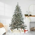 thumbnail image 1 of Northlight 6' Prelit Artificial Christmas Tree Flocked Balsam Pine - Clear Lights, 1 of 4