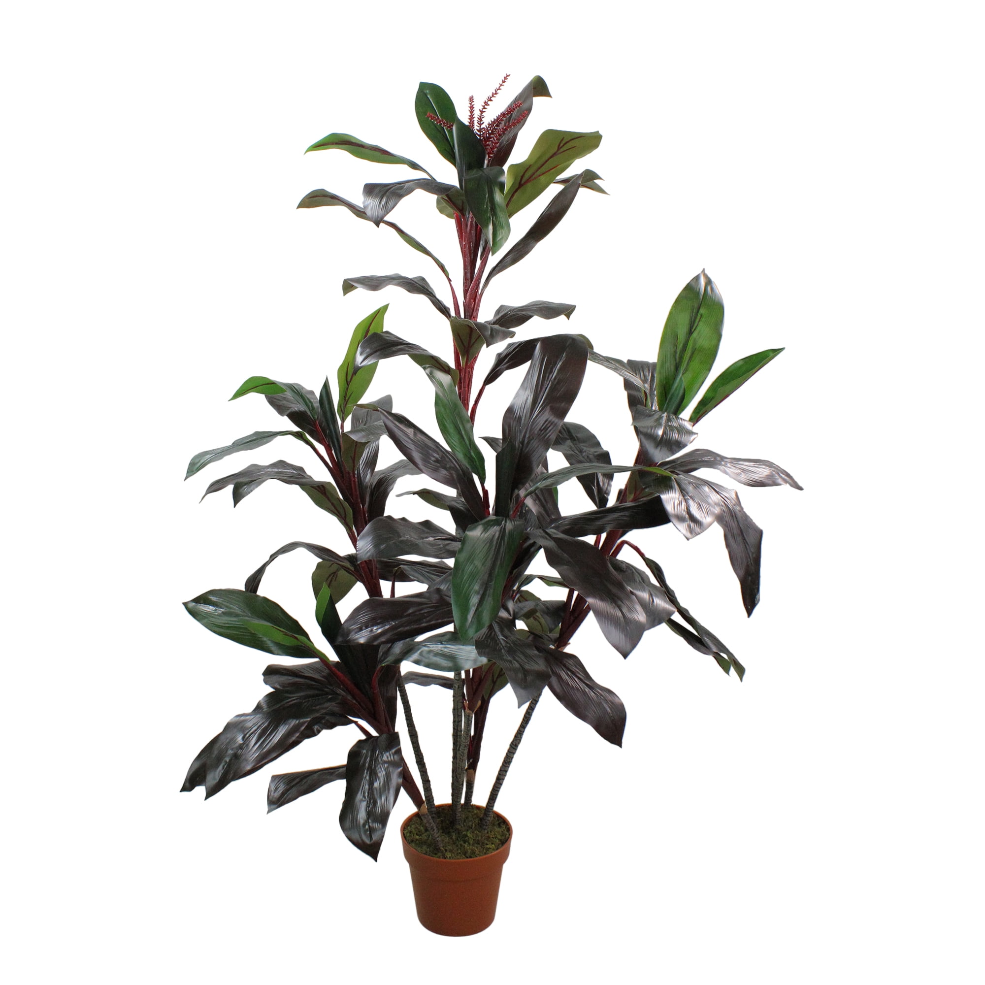 59.75" Potted Artificial Green and Red Dracaena Plant