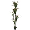 thumbnail image 1 of Northlight 67" Artificial Plastic Dracaena Marginata Potted Plant, Green, 1 of 3