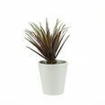thumbnail image 1 of Northlight 7.5" Artificial Potted Red and Green Aloe Vera Succulent Plant, 1 of 2