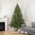 thumbnail image 1 of Northlight Clear Prelit Candlelight LED Green Hinged Fir Birch River Fir Artificial Christmas Tree, 7.5', 1 of 8