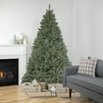 thumbnail image 1 of Northlight 7.5' Pre-Lit Full  Spruce Artificial Christmas Tree, LED Lights, 1 of 7
