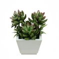 thumbnail image 1 of Northlight 7" Potted Red and White Artificial Mixed Succulents, 1 of 2