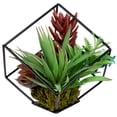 thumbnail image 1 of Northlight 7" Succulent Artificial Arrangement in Black Wire Terrarium - Green/Black, 1 of 7