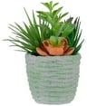 thumbnail image 1 of Northlight 8.5" Mixed Succulent Artificial Potted Arrangement - Green/Brown, 1 of 6