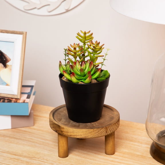 Northlight 8" Mixed Succulent Artificial Plant Arrangement in Pot - Green/Red